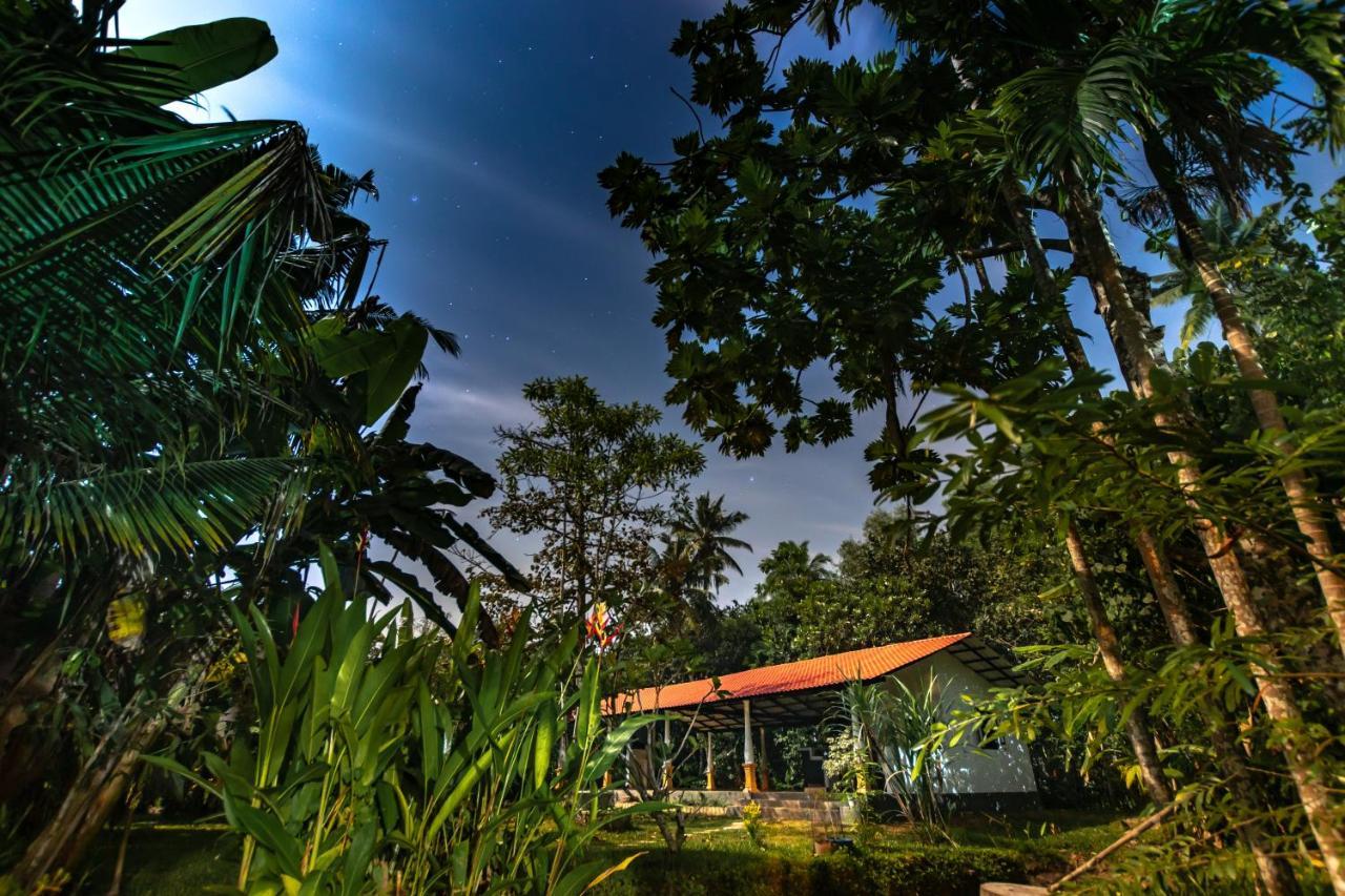 Coconut Villa Midigama East Exterior photo